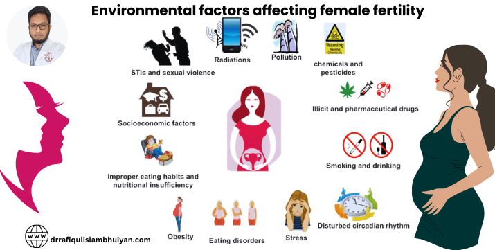 Environmental factors affecting female fertility