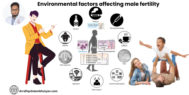 Environmental factors affecting male fertility