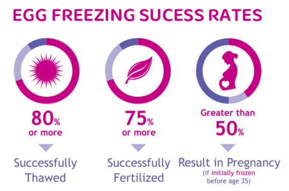 Embryo Freezing Success Rate