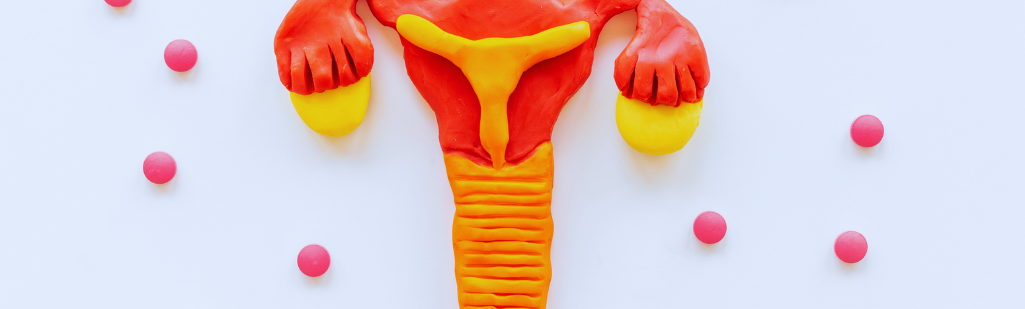 What are fallopian tubes