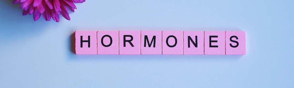 What foods increase hormones?